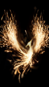 2023年ギャンブル運で最強の効果がある鳳凰