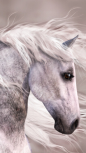 勝負運・ギャンブルに最強の馬の待ち受け画像