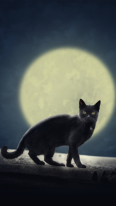 恋愛成就に効果のない大きな満月と黒猫の待ち受け画像