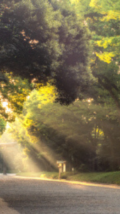 龍神様がついてきた幸運の待ち受け画像・写真