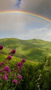 幸運をもたらす龍神の化身が起こす虹の待ち受け画像・写真