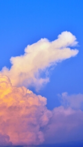 龍神様が幸運をもたらす龍雲の待ち受け画像・写真