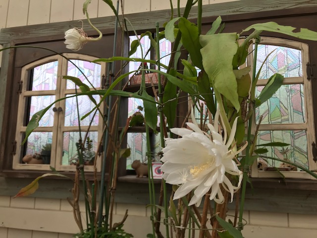 ただ一度だけ会いたくて