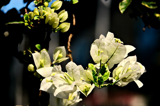 私はあなたを信じます