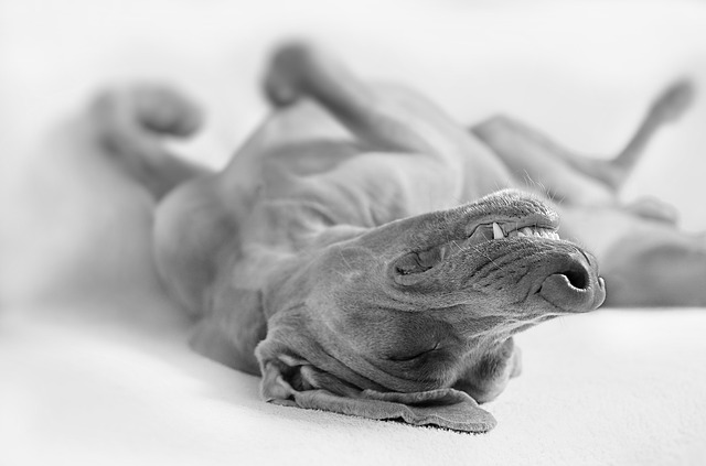 なぜか濁った青に見える