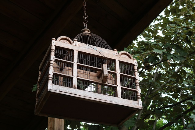 鳥かごに捕まえる