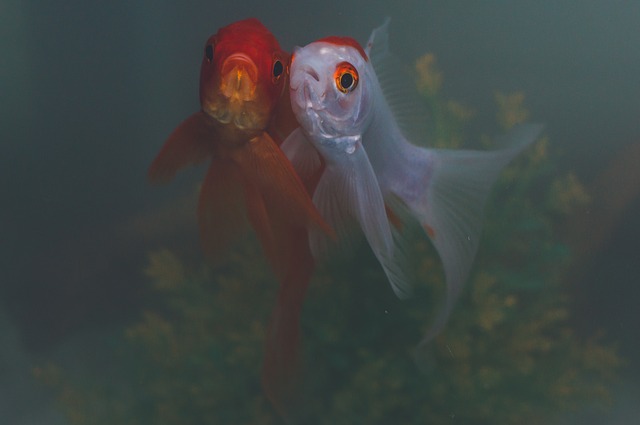 餌付けしてみる