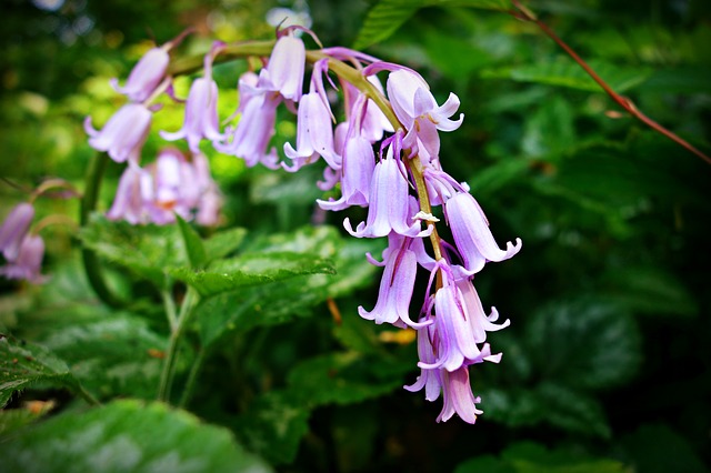 変わることはない