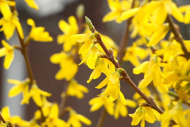 言いなりになる