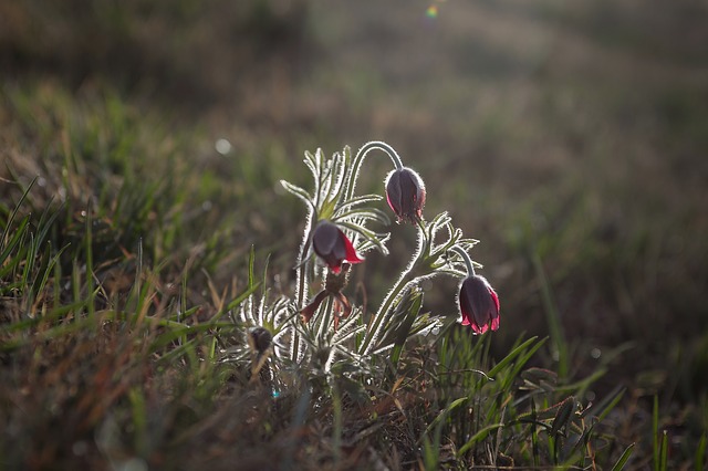 本心に出さない