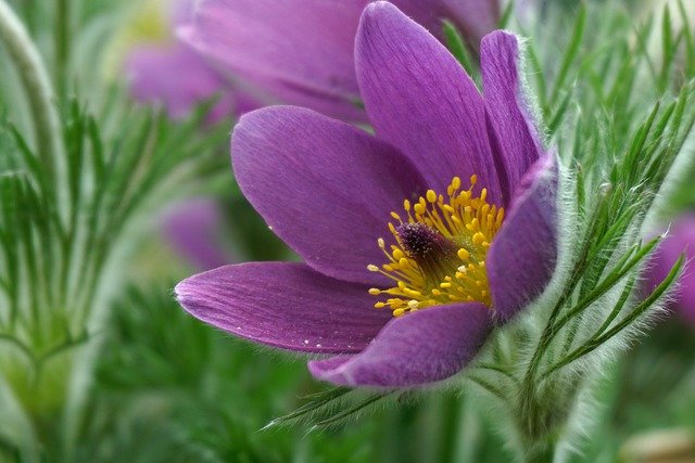 伝えたい気持ち