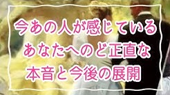 うさとこタロット