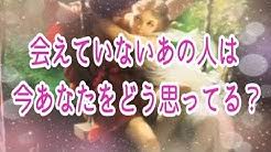 うさとこタロット