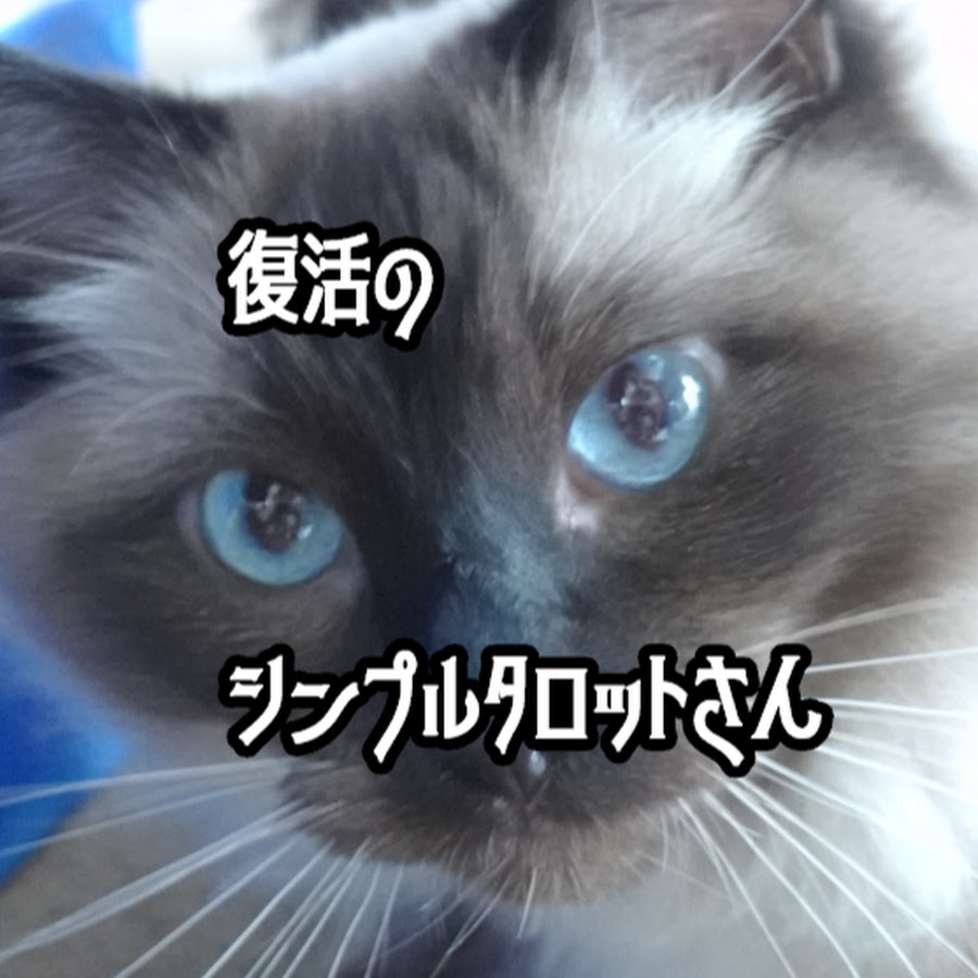 シンプルタロット