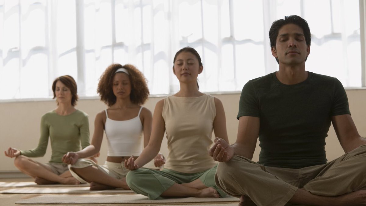和yogi