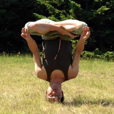 和yogi