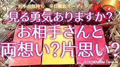 コケモモタロット