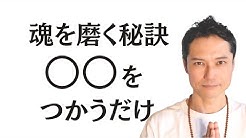 和yogi