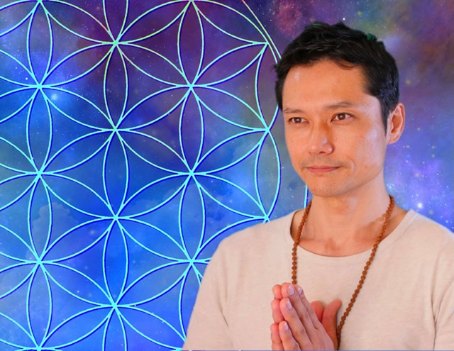 和yogi