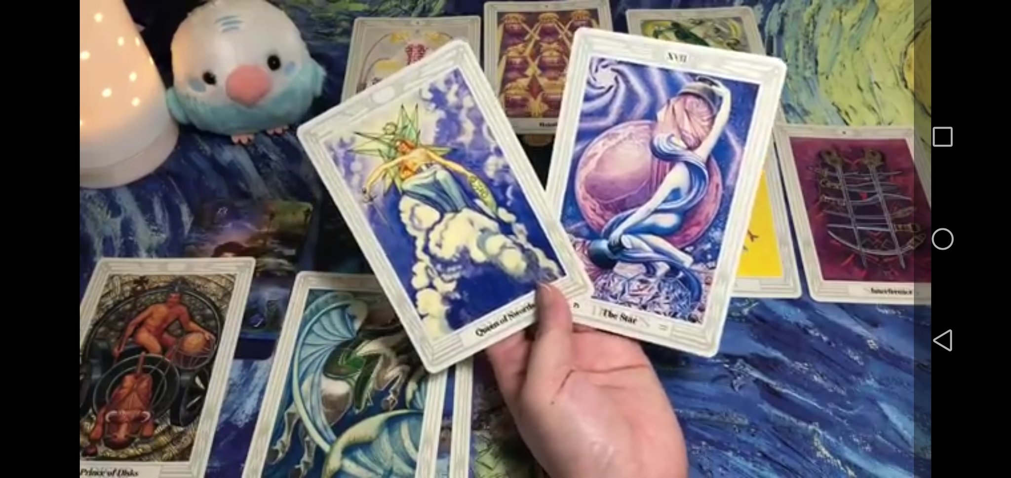 kou tarot