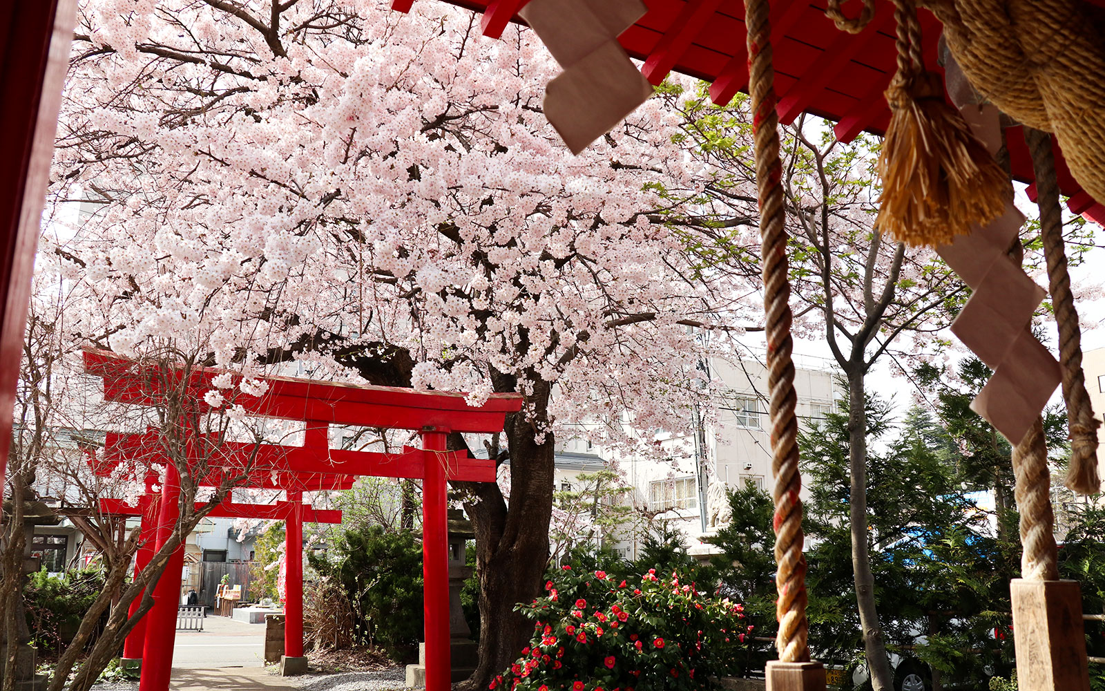 青森：廣田神社