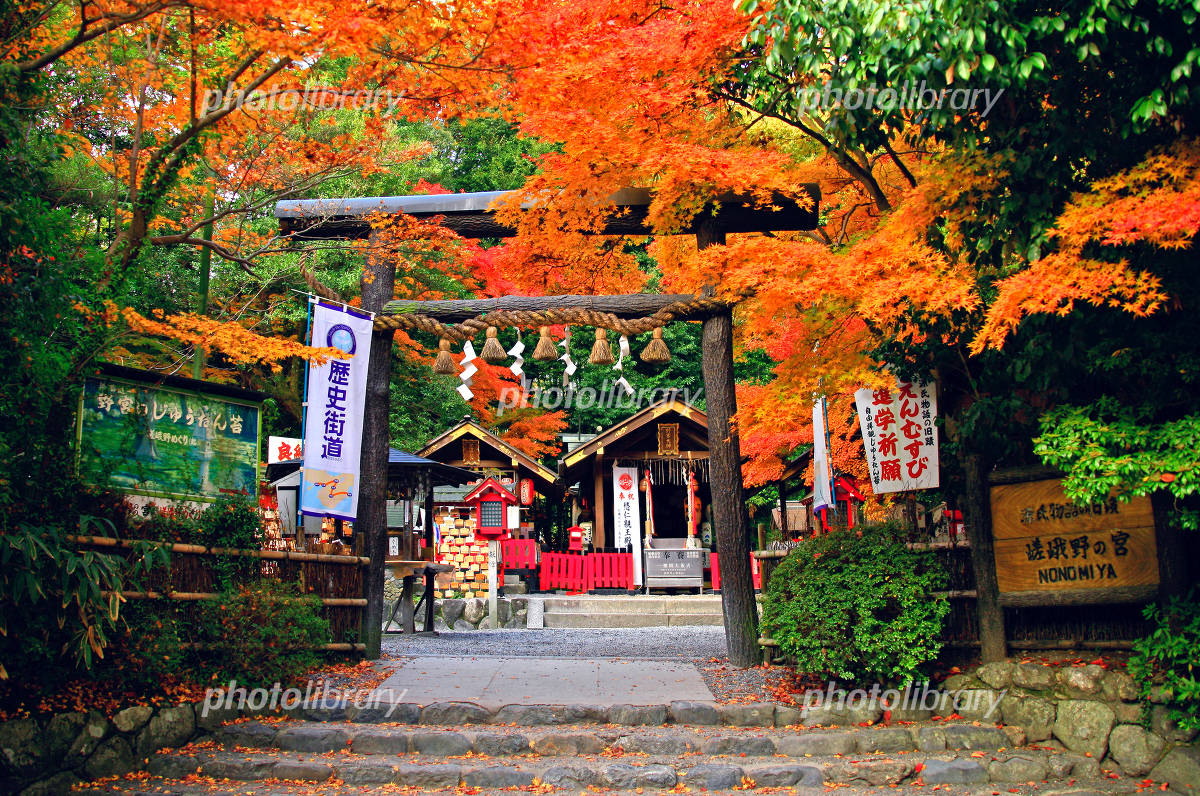 京都：野宮神社