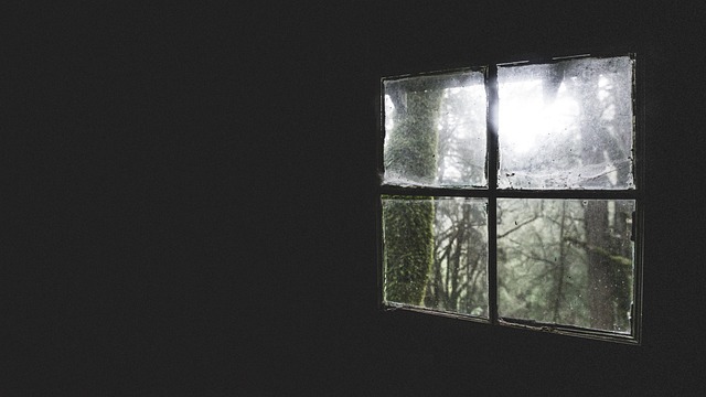 暗くてジメジメした場所