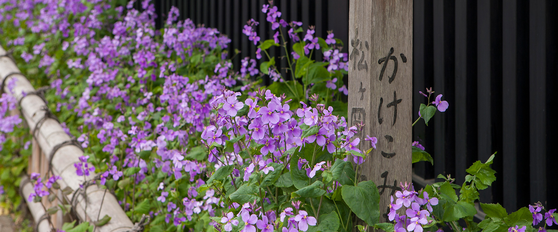 神奈川：東慶寺