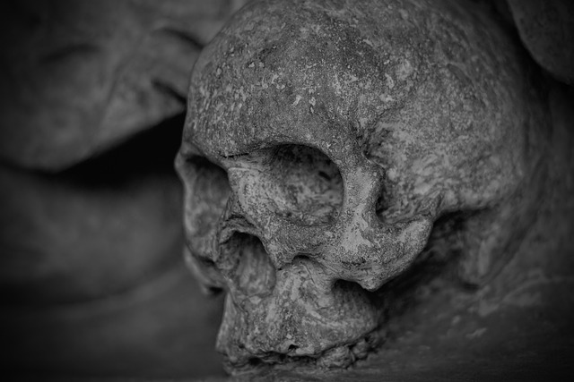 日常的に死に関わっている