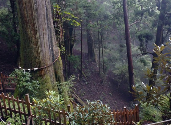 悪魔祓いや妖魔退散のパワー