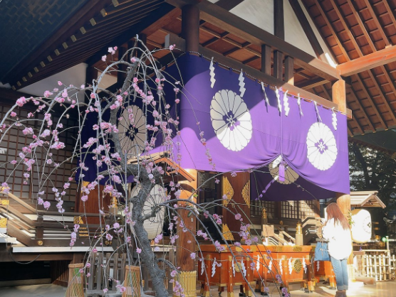 東京大神宮の基本情報