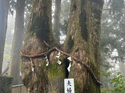 霊験あらたかな日本最古の神社