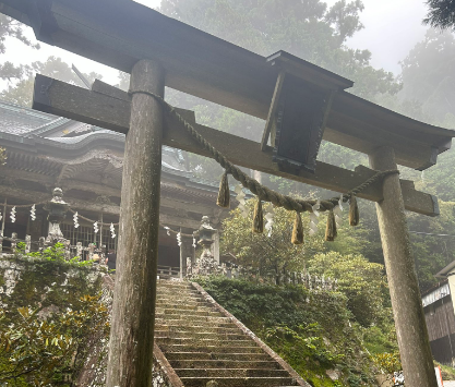 玉置神社が精神病に効果があるといわれる5つの理由