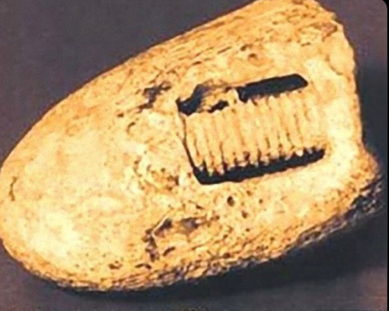 カンブリア紀の金属ボルト