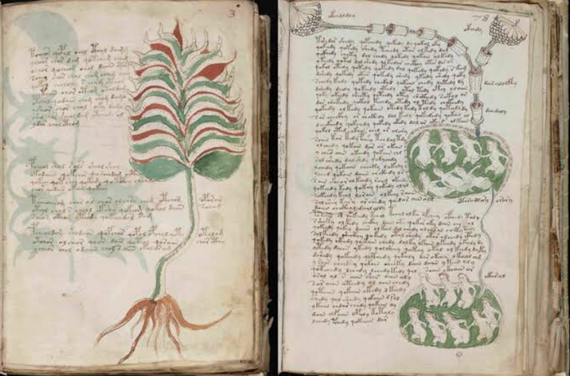 ヴォイニッチ手稿