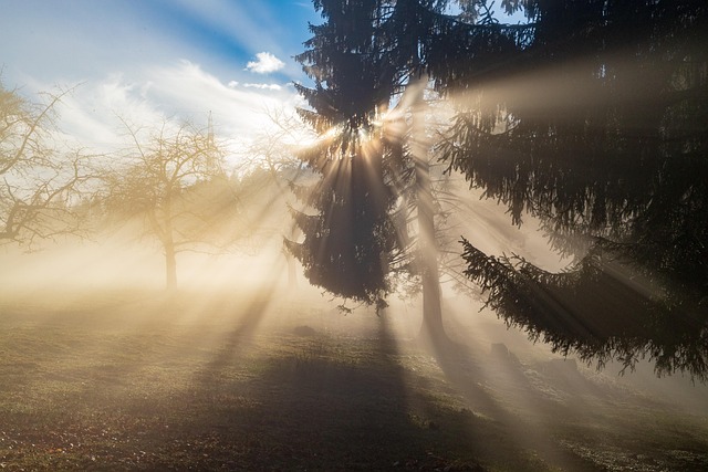 パワースポットで神聖なエネルギーを浴びる