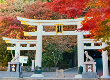 三ツ鳥居