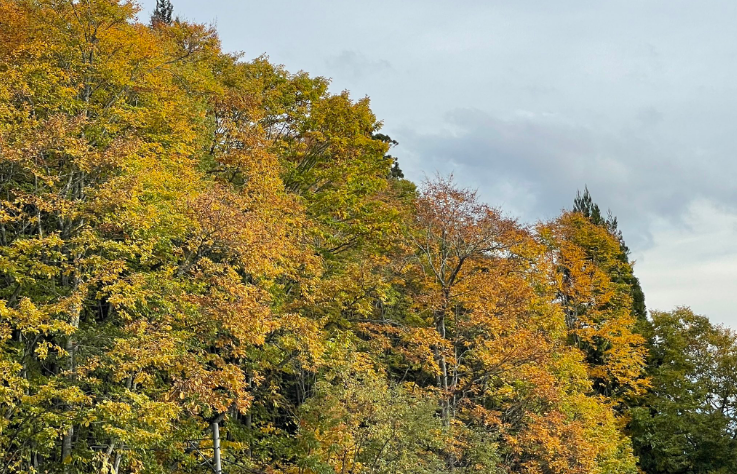 天界に続く道があるから