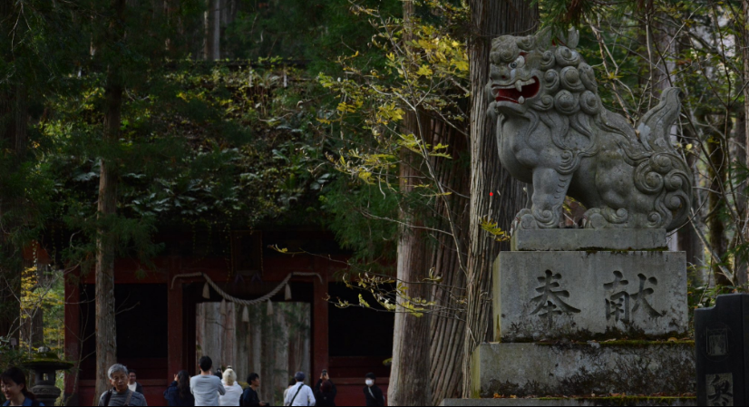 戸隠神社を参拝した人の不思議体験