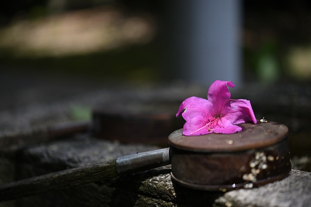 丁寧にお願いする