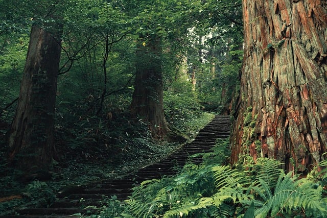 最強開運神社の神様からご利益を頂く方法