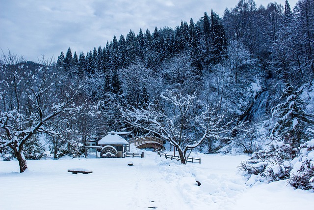 秋田県:東北の人生が変わる神社2選
