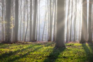そしじの歴史と由来