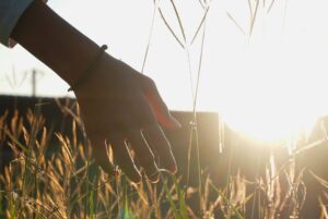 レムリアン水晶を手にする人の特徴・スピリチュアル性が高い