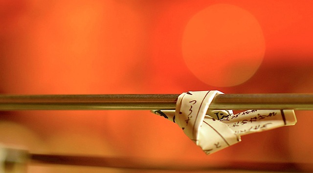 結び所以外におみくじを結ぶ