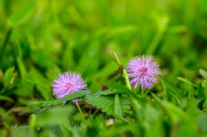 激変する運命を乗り越えるポイント・小さな幸せ