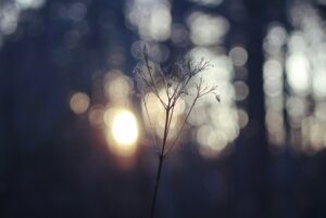 ツインレイは他の異性によって自己否定を浄化する