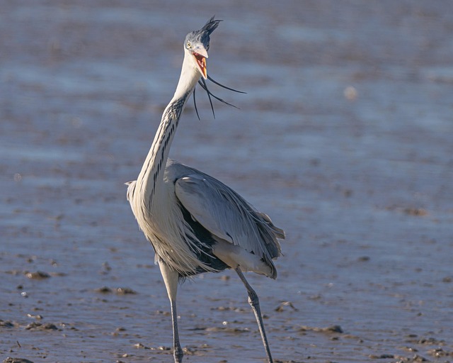 変化の訪れの暗示