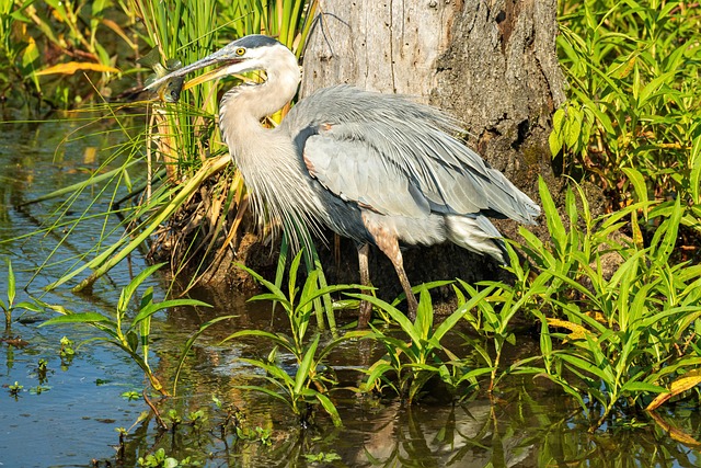 安定や平和をもたらす