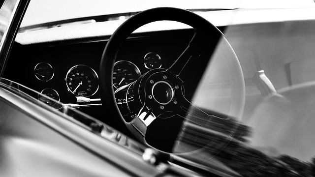 車の中にカメムシ:今のままではいけない